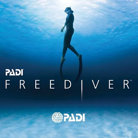 Calm Sea View Appartamento Banjole