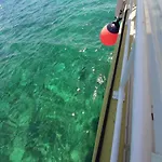 Calm Sea View Apartment Banjole